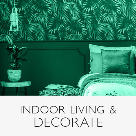 Indoor Living & Decorate